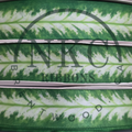Dumb Cane Leaf